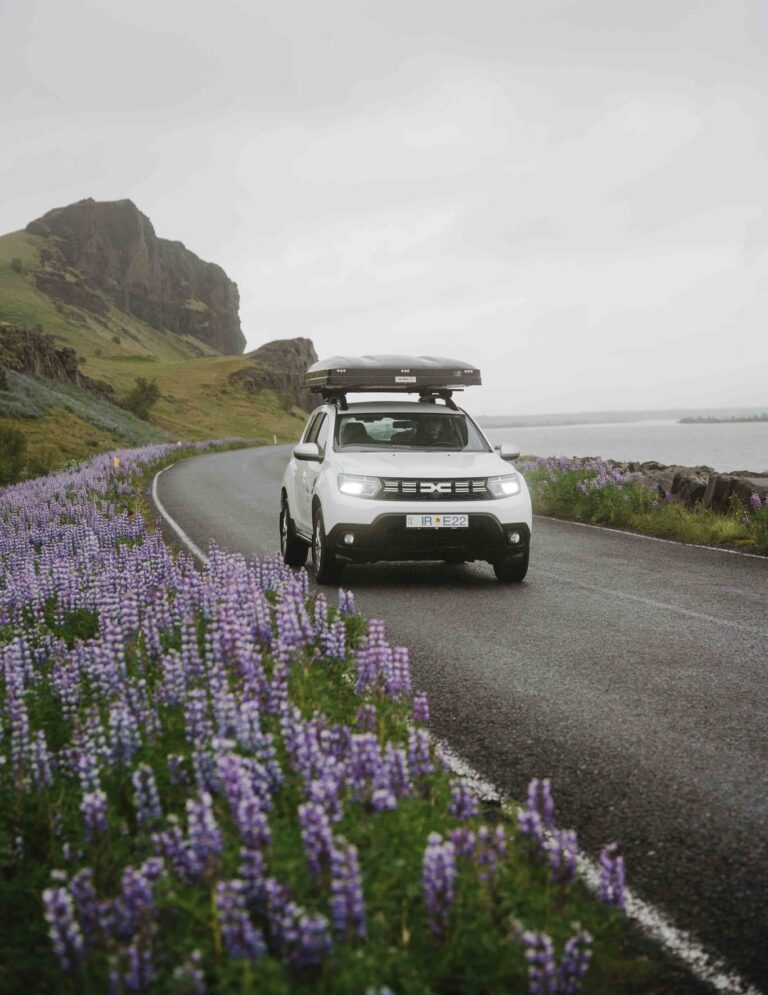 white car with rooftop tent driving on a road with purple flowers